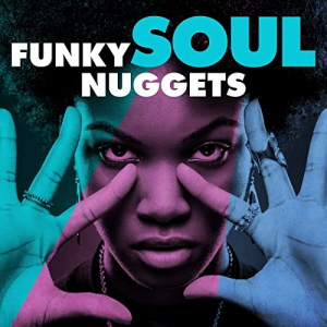VA-Funky Soul Nuggets 
